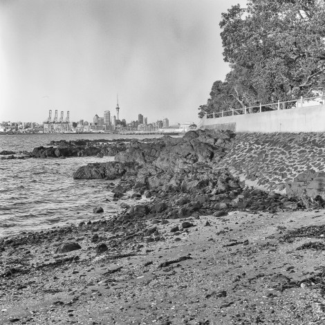 Auckland Rollei (1 of 1)