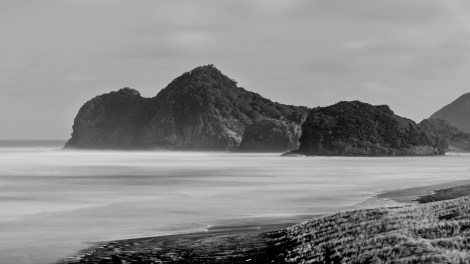 Bethells beach