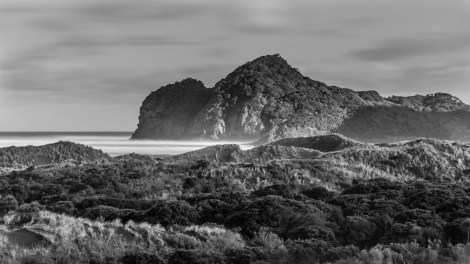 Bethells Beach