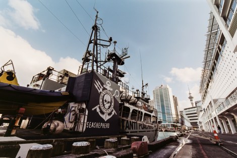 Sea Shepherd