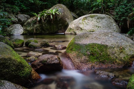 Mossman Gorge walk