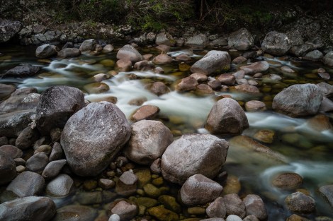 Mossman Gorge walk
