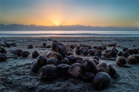 Four Mile Beach - Sunrise