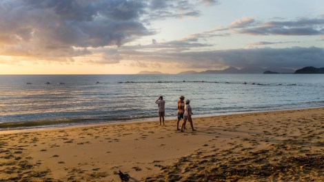 Palm Cove - Surf club training