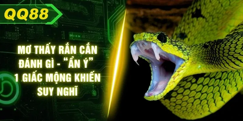 Mơ Thấy Rắn Cắn Đánh Gì - “Ẩn Ý” 1 Giấc Mộng Khiến Suy Nghĩ